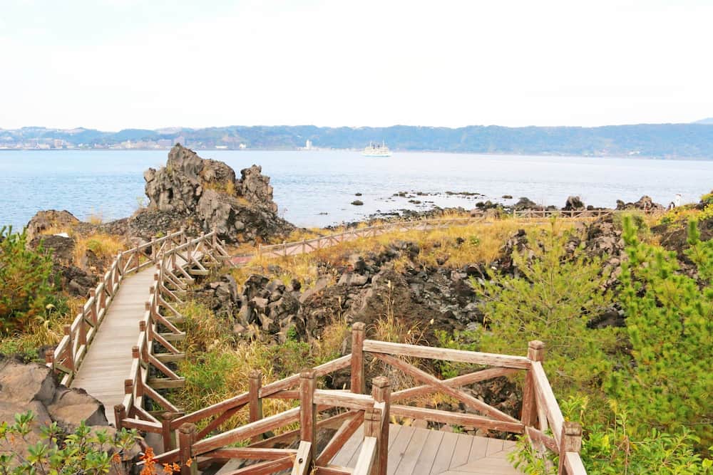 敢行スポット イメージ画像