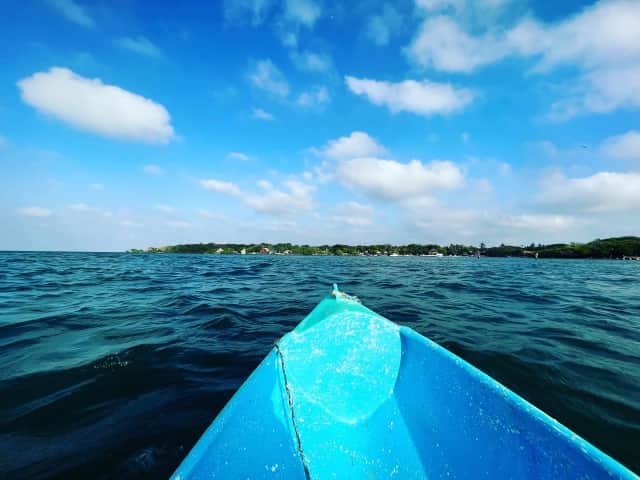 今年のレジャーやキャンプは盛り上がる予想！色んなトラブルを防ぐ方法を解説