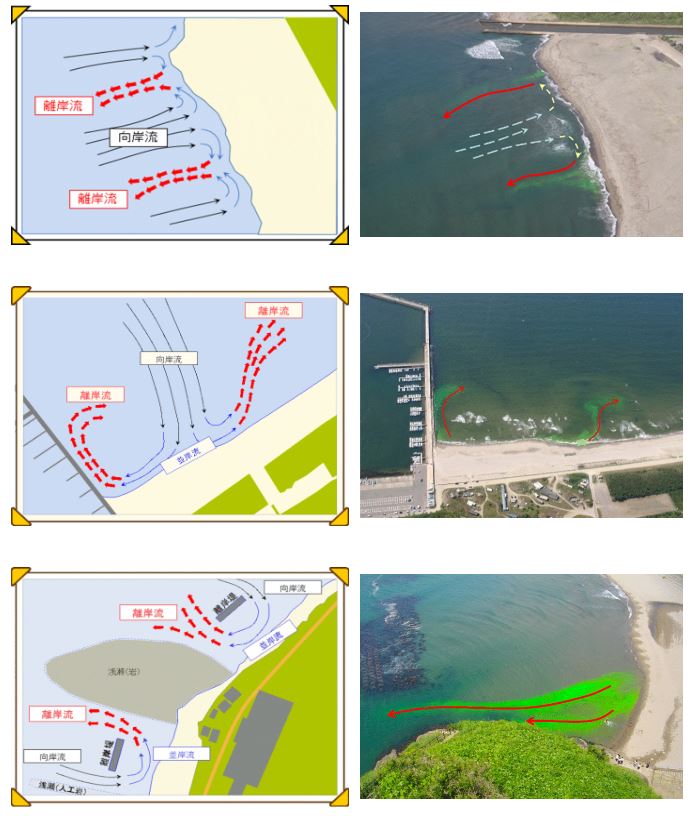 理巌流の代表的な発生例を紹介するイラストと写真