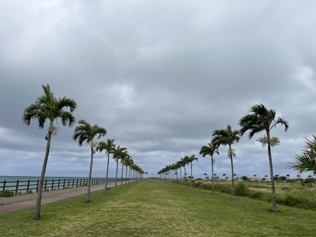 台風の日の様子