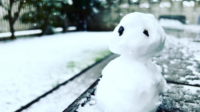 雪だるまの写真