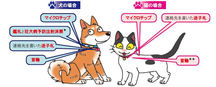 犬の場合:マイクロチップ、檻札と狂犬病予防注射済票、連絡先を書いた迷子札、首輪 猫の場合:マイクロチップ、連絡先を書いた迷子札、首輪
